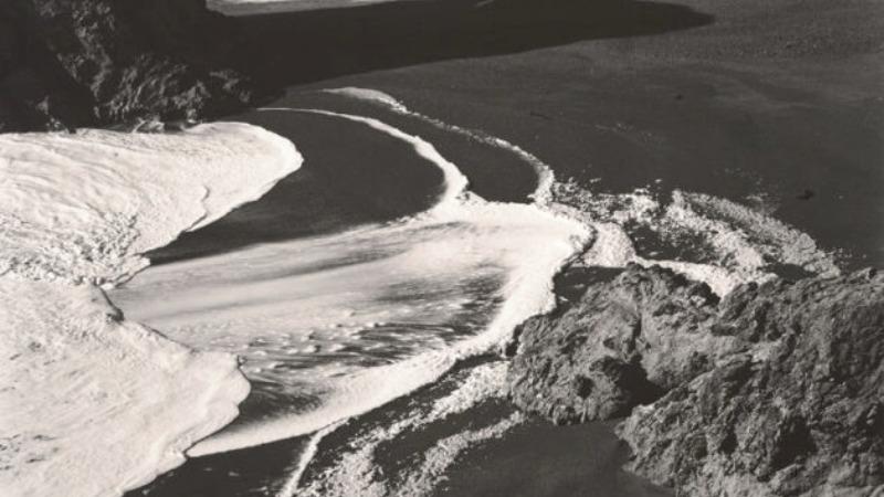 Edward Weston: la materia de las formas.